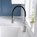 442509 Kitchen/Kitchen Faucets/Pull Down Spray Faucets