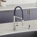 442509 Kitchen/Kitchen Faucets/Pull Down Spray Faucets