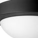 3505-11-69 Lighting/Ceiling Lights/Flush & Semi-flush Lights