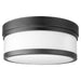 3509-12-69 Lighting/Ceiling Lights/Flush & Semi-flush Lights