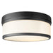 3509-14-69 Lighting/Ceiling Lights/Flush & Semi-flush Lights