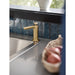 S3947BG Bathroom/Bathroom Accessories/Bathroom Soap & Lotion Dispensers