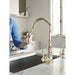 S73004NL Kitchen/Kitchen Faucets/Pull Down Spray Faucets