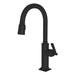3170-5103/56 Kitchen/Kitchen Faucets/Pull Down Spray Faucets