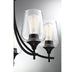1-4032-5-BK Lighting/Ceiling Lights/Chandeliers