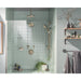 T6601BN Bathroom/Bathroom Tub & Shower Faucets/Tub & Shower Faucet Trim