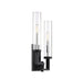 9-2134-2-67 Lighting/Wall Lights/Sconces