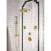 TS1422BG Bathroom/Bathroom Tub & Shower Faucets/Body Sprays