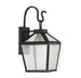 5-100-BK Lighting/Outdoor Lighting/Outdoor Wall Lights