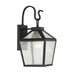 5-100-BK Lighting/Outdoor Lighting/Outdoor Wall Lights