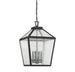 5-104-BK Lighting/Outdoor Lighting/Outdoor Pendants