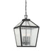 5-104-BK Lighting/Outdoor Lighting/Outdoor Pendants