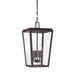 5-549-13 Lighting/Outdoor Lighting/Outdoor Pendants