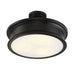 6-134-3-44 Lighting/Ceiling Lights/Flush & Semi-flush Lights