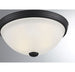6-780-11-BK Lighting/Ceiling Lights/Flush & Semi-flush Lights