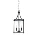 7-1040-3-BK Lighting/Ceiling Lights/Pendants