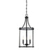 7-1040-3-BK Lighting/Ceiling Lights/Pendants