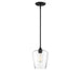7-4036-1-BK Lighting/Ceiling Lights/Pendants