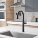 4803300.243 Kitchen/Kitchen Faucets/Pull Down Spray Faucets