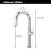 4803300.243 Kitchen/Kitchen Faucets/Pull Down Spray Faucets