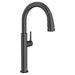 4803300.243 Kitchen/Kitchen Faucets/Pull Down Spray Faucets