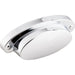 M1900 Decor/Cabinet & Furniture Hardware/Cabinet & Furniture Pulls