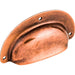M213 Decor/Cabinet & Furniture Hardware/Cabinet & Furniture Pulls