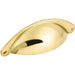 M398 Decor/Cabinet & Furniture Hardware/Cabinet & Furniture Pulls