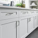 TK1012PC Decor/Cabinet & Furniture Hardware/Cabinet & Furniture Pulls