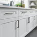 TK1014AG Decor/Cabinet & Furniture Hardware/Cabinet & Furniture Pulls