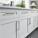 TK1015PN Decor/Cabinet & Furniture Hardware/Cabinet & Furniture Pulls