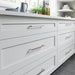 TK1016BSN Decor/Cabinet & Furniture Hardware/Cabinet & Furniture Pulls