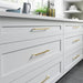 TK1016HB Decor/Cabinet & Furniture Hardware/Cabinet & Furniture Pulls