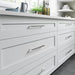 TK1016PC Decor/Cabinet & Furniture Hardware/Cabinet & Furniture Pulls