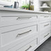 TK1017AG Decor/Cabinet & Furniture Hardware/Cabinet & Furniture Pulls
