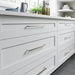 TK1017BSN Decor/Cabinet & Furniture Hardware/Cabinet & Furniture Pulls