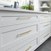 TK1017HB Decor/Cabinet & Furniture Hardware/Cabinet & Furniture Pulls