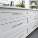 TK1017PN Decor/Cabinet & Furniture Hardware/Cabinet & Furniture Pulls