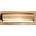 TK937HB Decor/Cabinet & Furniture Hardware/Cabinet & Furniture Pulls