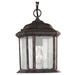 60029-746 Lighting/Outdoor Lighting/Outdoor Pendants