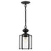 6008-12 Lighting/Outdoor Lighting/Outdoor Pendants