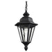 6025-12 Lighting/Outdoor Lighting/Outdoor Pendants