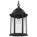 6238701-12 Lighting/Outdoor Lighting/Outdoor Pendants