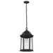 6238701-12 Lighting/Outdoor Lighting/Outdoor Pendants