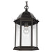 6238701-71 Lighting/Outdoor Lighting/Outdoor Pendants