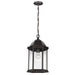 6238701-71 Lighting/Outdoor Lighting/Outdoor Pendants