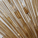 AP1146ADB Lighting/Ceiling Lights/Pendants