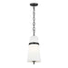 AP1161AI Lighting/Ceiling Lights/Pendants