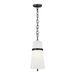 AP1161AI Lighting/Ceiling Lights/Pendants