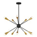 EC10310MBK Lighting/Ceiling Lights/Chandeliers